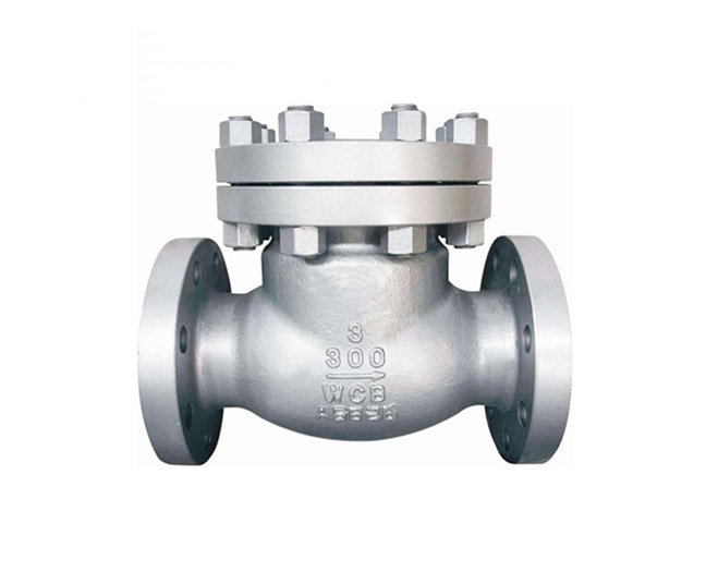 Cast Steel Check Valve