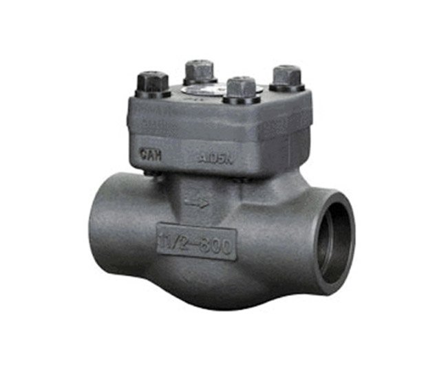 Forged steel check valve