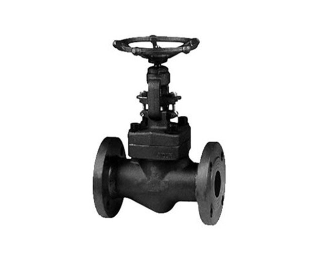 forged steel globe valve
